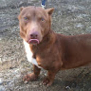 Meet your Posher, Ethan